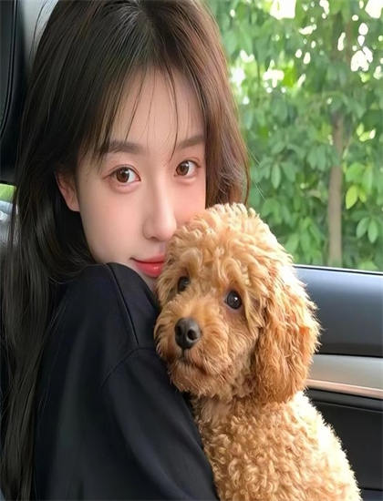 行车记录仪镜头 第六季美学价值分析经典的：艺术美感与审美特征探讨